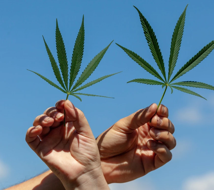HeyHelloHigh Cannabis Content for Women | Image via Getty