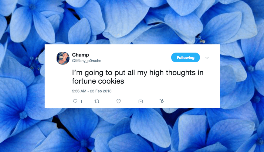 heyhellohigh-twitter-high-thoughts-women