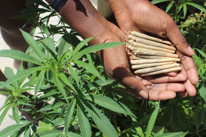 Weed Chat Yoga With Minelli HeyHelloHigh 4